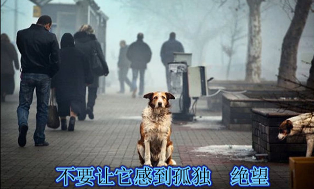 渭南爱影圈微博微信转发案例