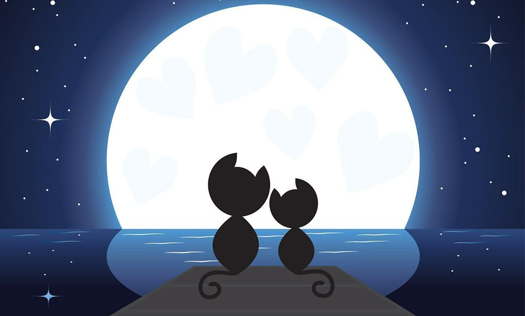 渭南潮客汇微信活动策划案例